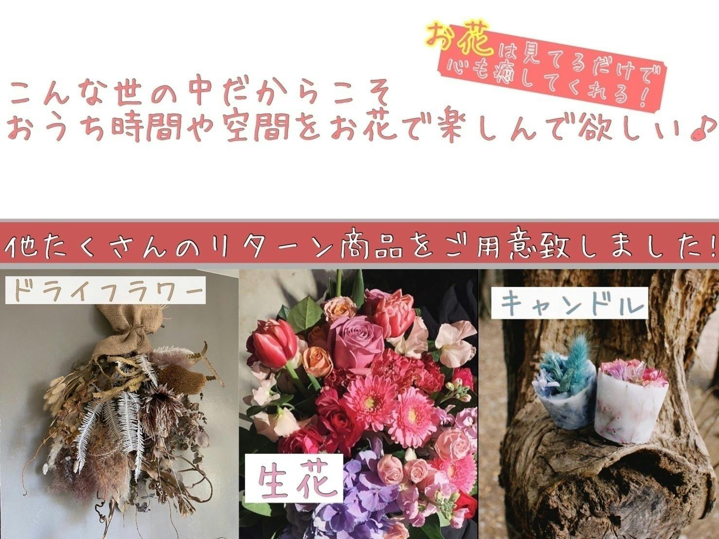 元メジャーデビューアイドルがフラワースタイリストへ挑戦 Campfire キャンプファイヤー 元メジャーデビューアイドルがフラワースタイリストへ挑戦 Campfire キャンプファイヤー