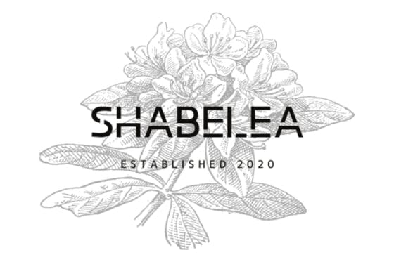 Discordのチャット読み上げbot Shabelea の運営 改良 Campfireコミュニティ
