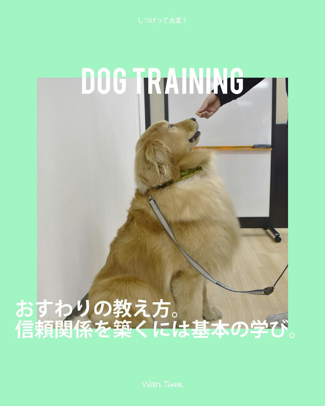 動物の殺処分が無い世界へ 人と犬との暮らしに貢献するwebマガジンを作ります Campfire キャンプファイヤー 動物の殺処分が無い世界へ 人と犬との暮らしに貢献するwebマガジンを作ります Campfire キャンプファイヤー