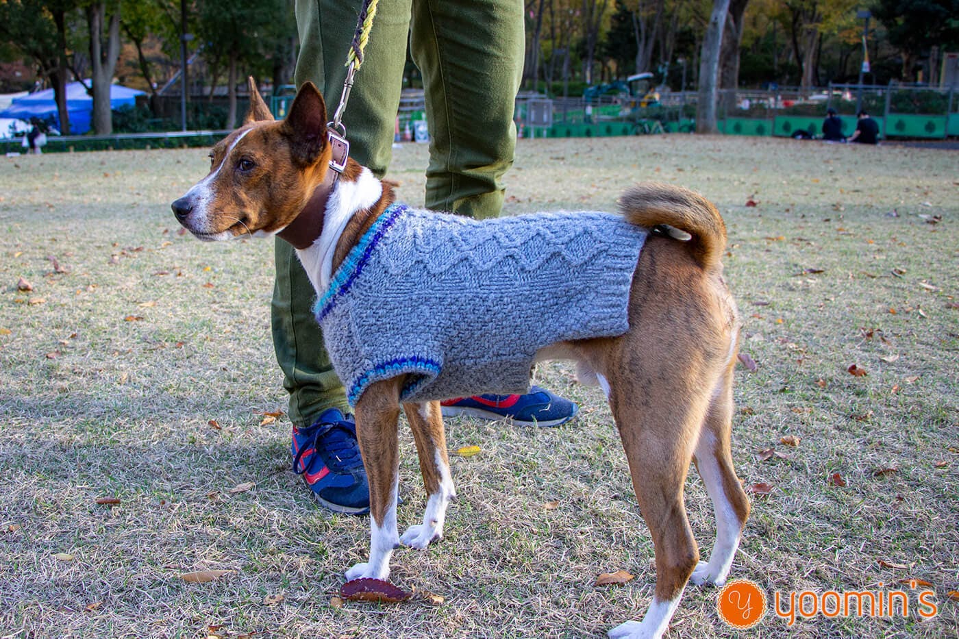 世界にたったひとつだけの手編みセーターをぜひあなたの愛犬にも。