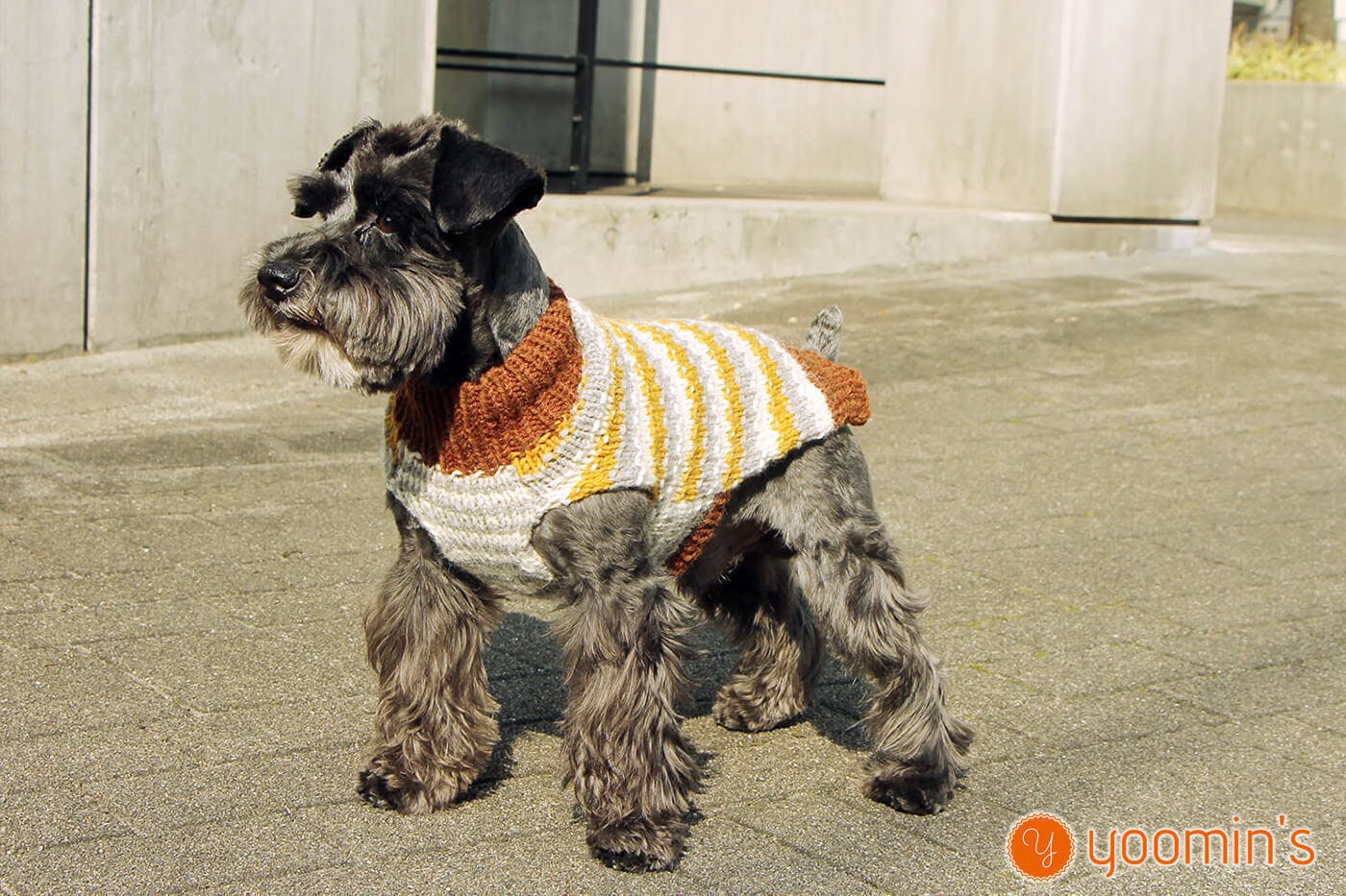 世界にたったひとつだけの手編みセーターをぜひあなたの愛犬にも