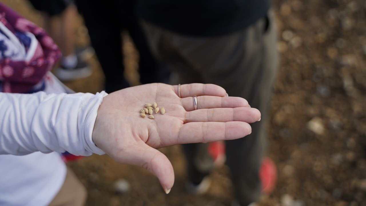 4番目のメイン画像