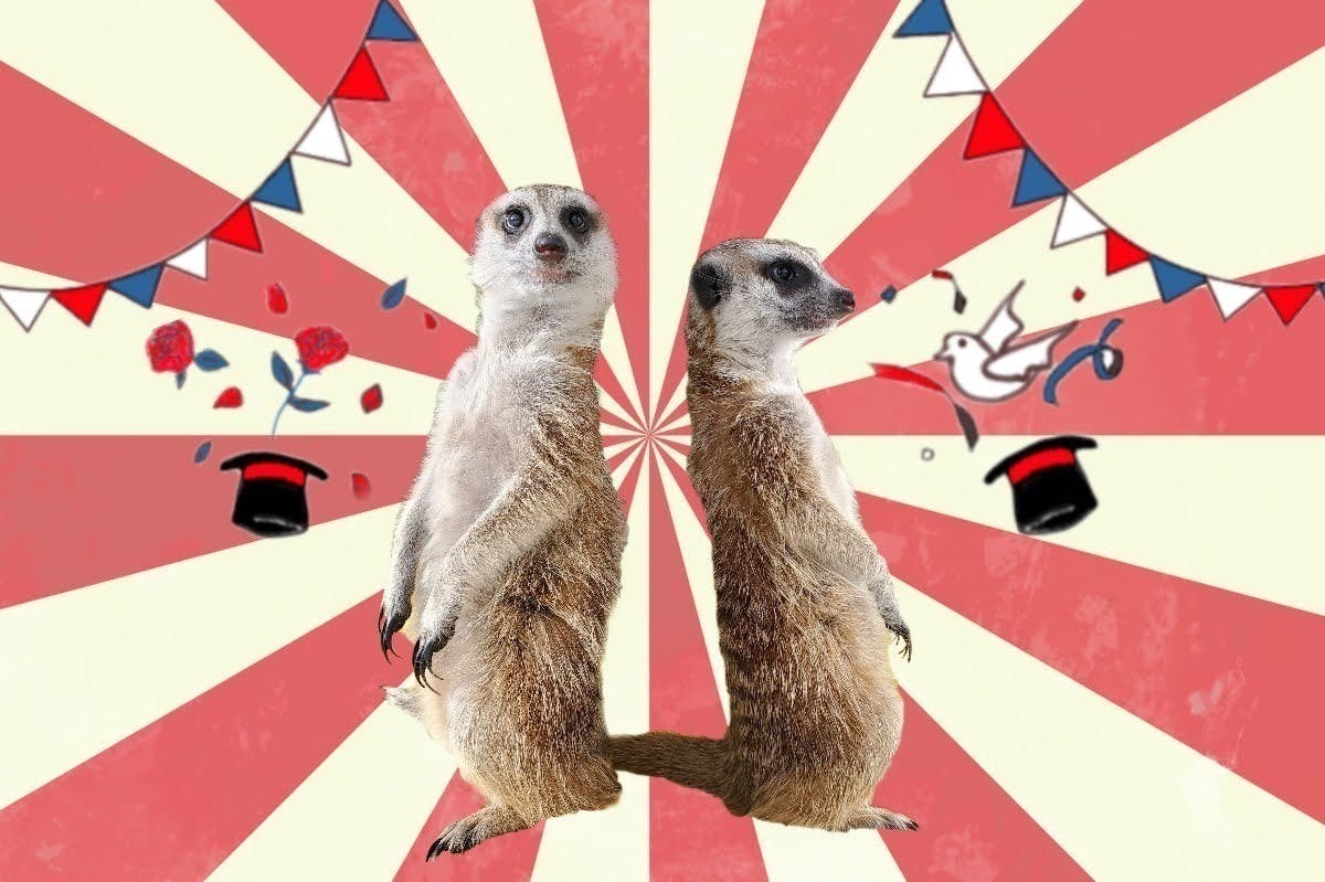 今こそ どうぶつの癒しのチカラを 新しい どうぶつ空間 を一緒に作って下さい へのコメント Campfire キャンプファイヤー 今こそ どうぶつの癒しのチカラを 新しい どうぶつ空間 を一緒に作って下さい へのコメント Campfire キャンプファイヤー