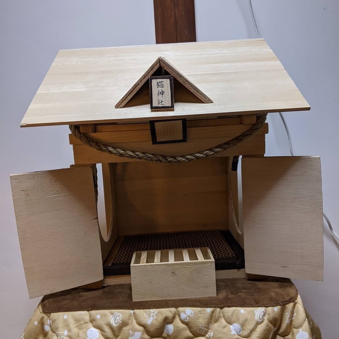 愛猫家さんの猫ちゃんにクォリティーの高い猫遊具・猫家具で遊んで貰い