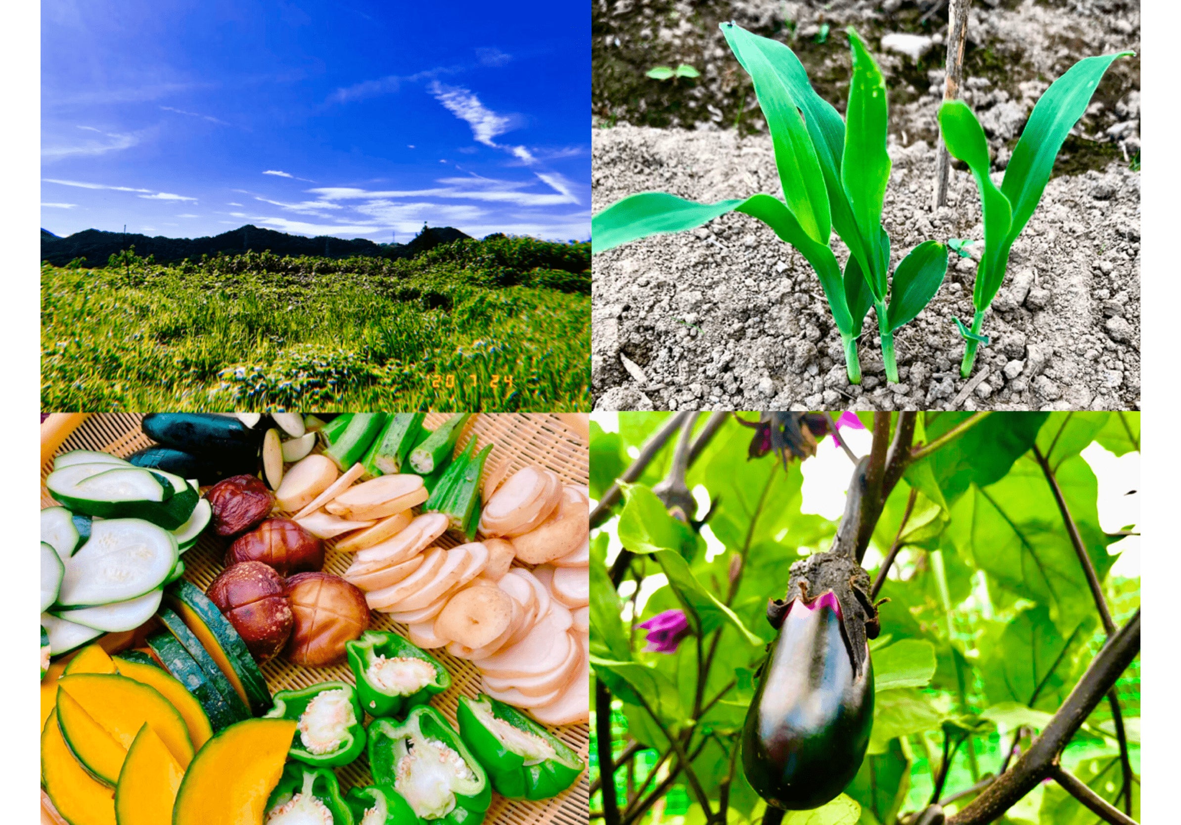 4番目のメイン画像