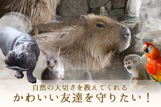 【長崎バイオパーク】コロナ禍の臨時休園で大打撃。のびのび過ごす動物たちを守りたい