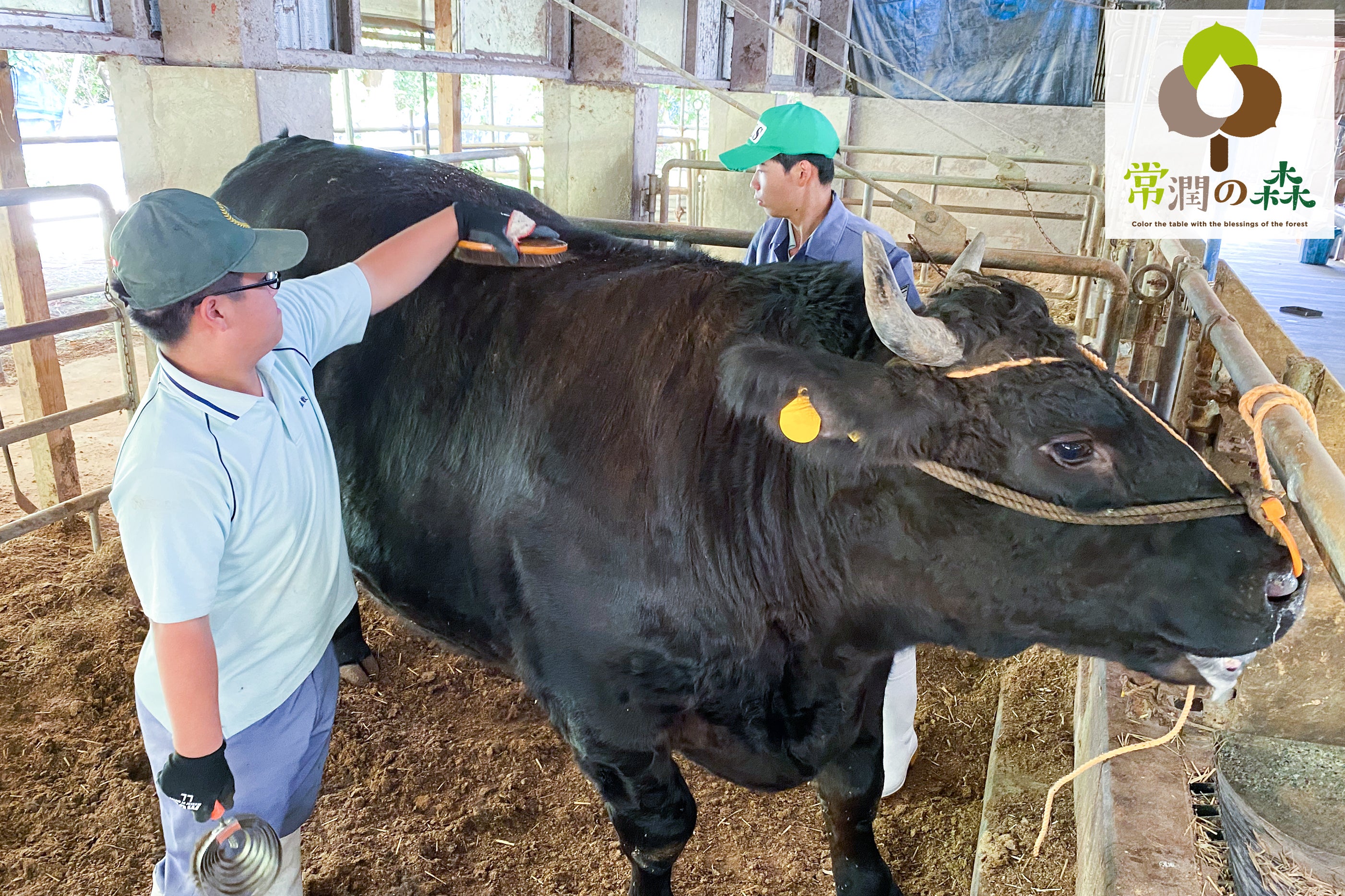 和牛の未来を担う農高生を応援！枝肉共励会出品牛をカミチクグループ