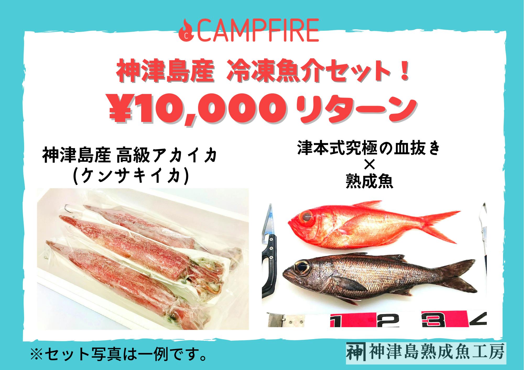 神津島名産の高級アカイカ ケンサキイカ を沢山の方に届けたい Campfire キャンプファイヤー 神津島名産の高級アカイカ ケンサキイカ を沢山の方に届けたい Campfire キャンプファイヤー