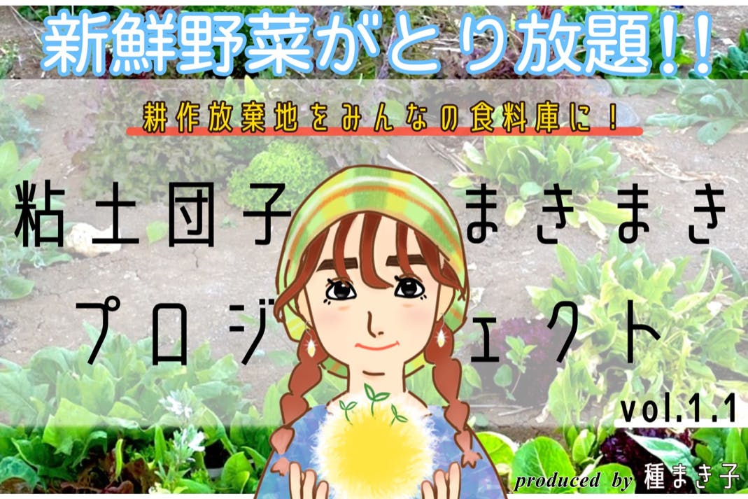 新鮮野菜がとり放題 耕作放棄地をみんなの食料庫に 粘土団子まきまきプロジェクト Campfire キャンプファイヤー