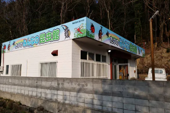 1番目のメイン画像