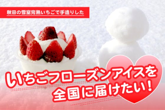 秋田の雪室完熟いちごで手造りしたいちごフローズンアイスを全国に届けたい アクティビティ Campfire キャンプファイヤー