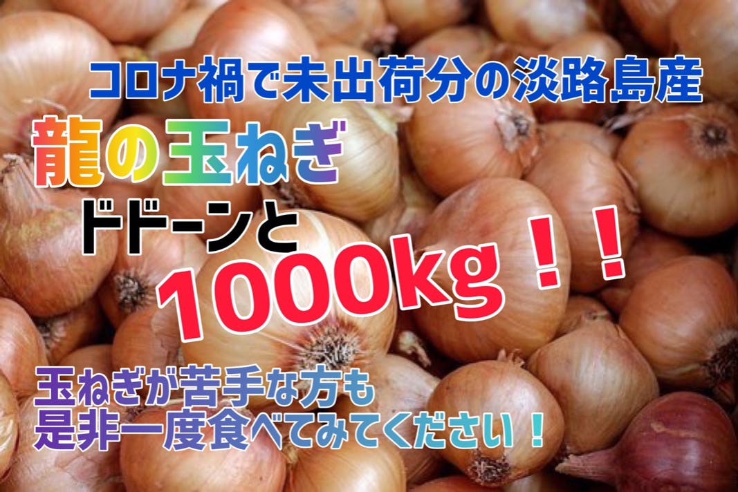 淡路島産新玉ねぎ収穫期間わずか15日間 龍の玉ねぎ 1000kg Campfire キャンプファイヤー