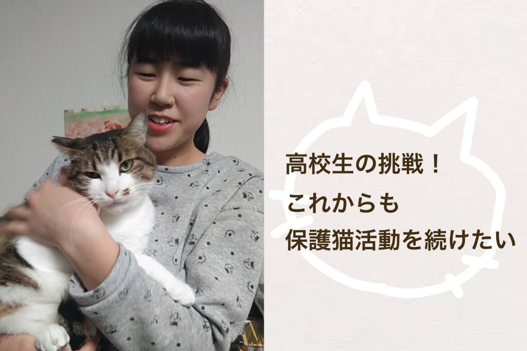 猫を愛する高校生の挑戦 これからも保護猫活動を続けたい Campfire キャンプファイヤー