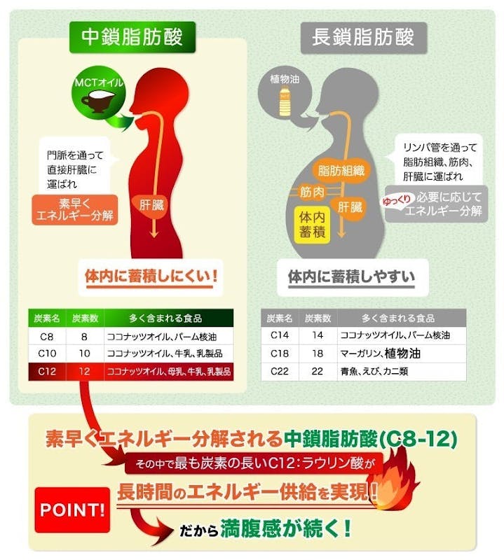腹が減ってはダイエットはできない 特許取得のmctオイル Laurin Campfire キャンプファイヤー 腹が減ってはダイエットはできない 特許取得のmctオイル Laurin Campfire キャンプファイヤー
