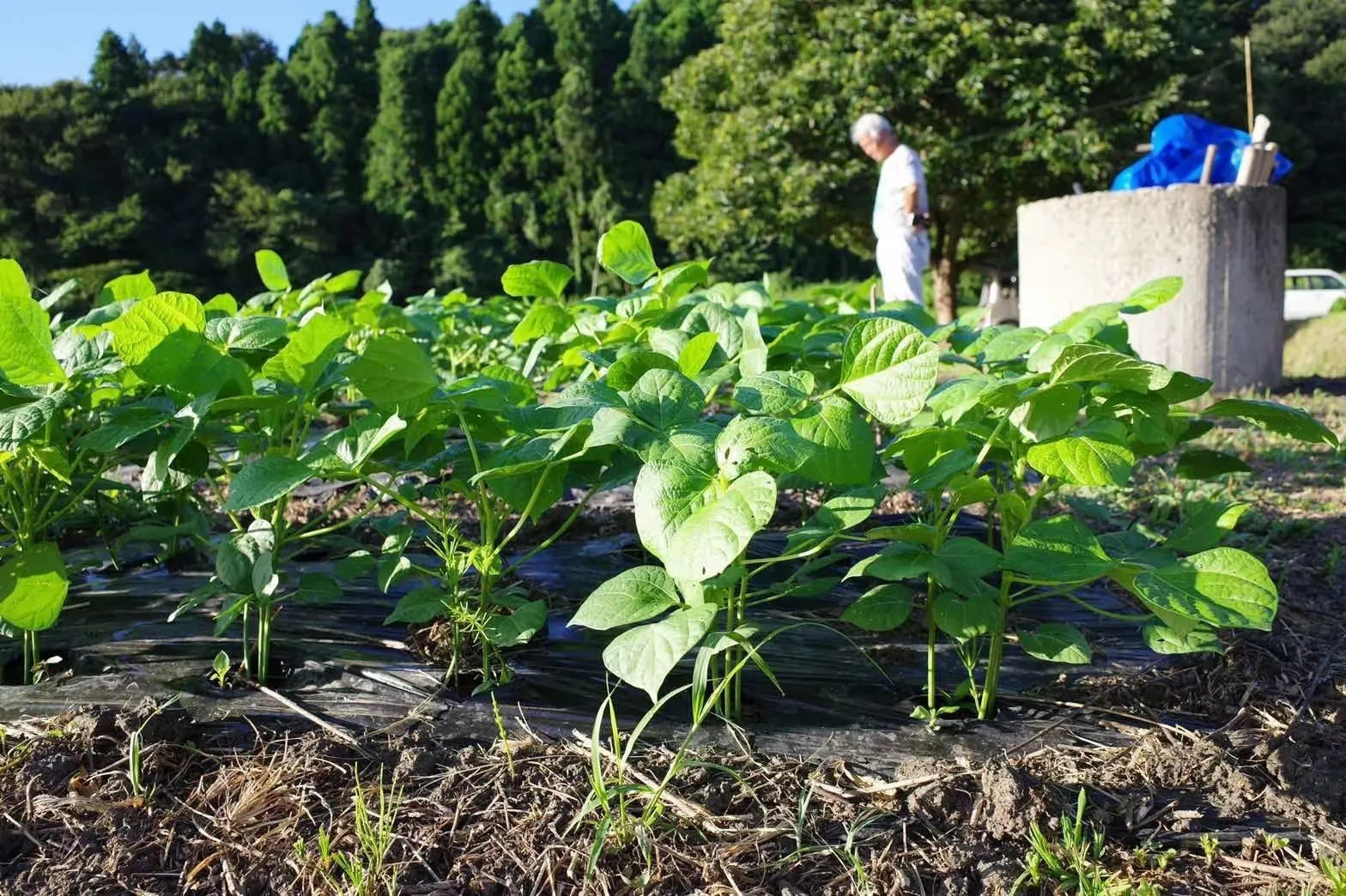 5番目のメイン画像