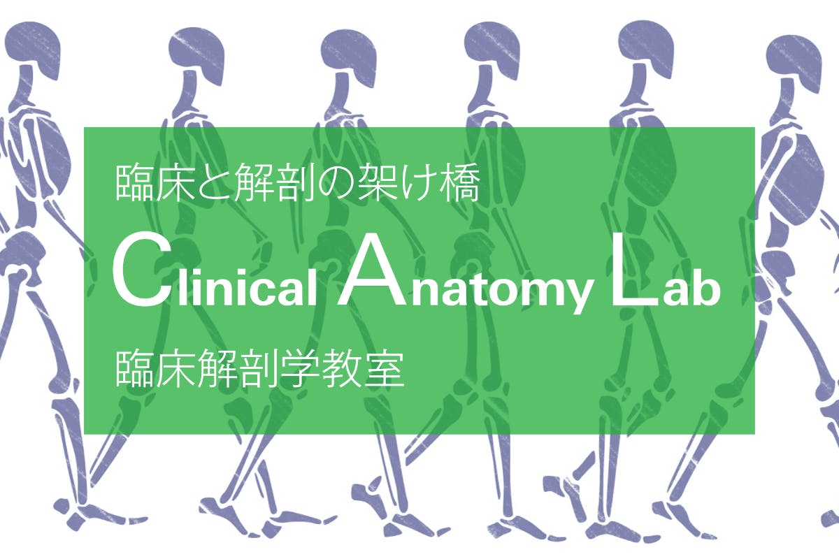 Clinical Anatomy Lab ー臨床解剖学教室ー