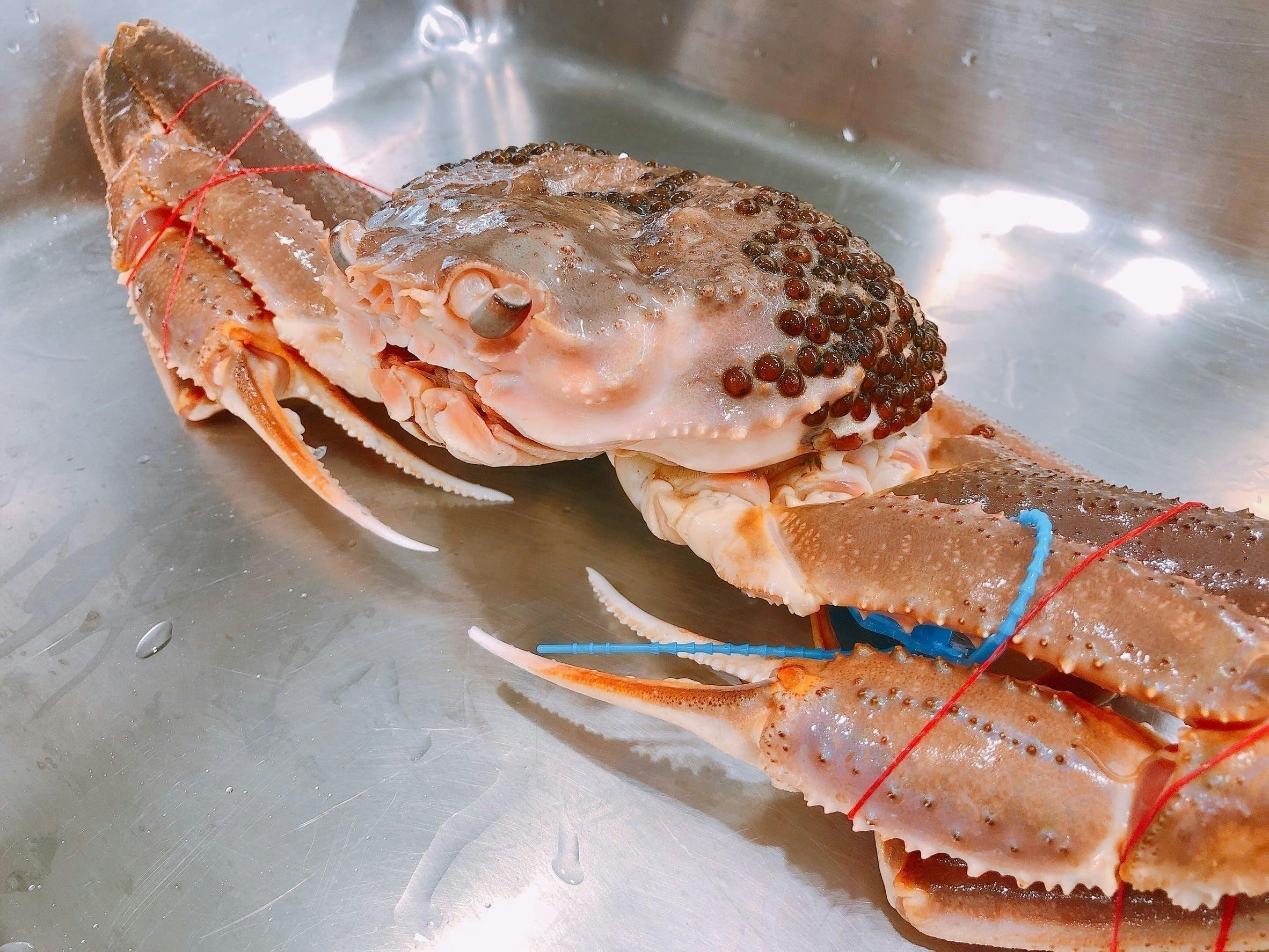 コロナで行き場を失った蟹と魚を救おう 美味しい魚介を食べて産地支援 Campfire キャンプファイヤー コロナで行き場を失った蟹と魚を救おう 美味しい魚介を食べて産地支援 Campfire キャンプファイヤー