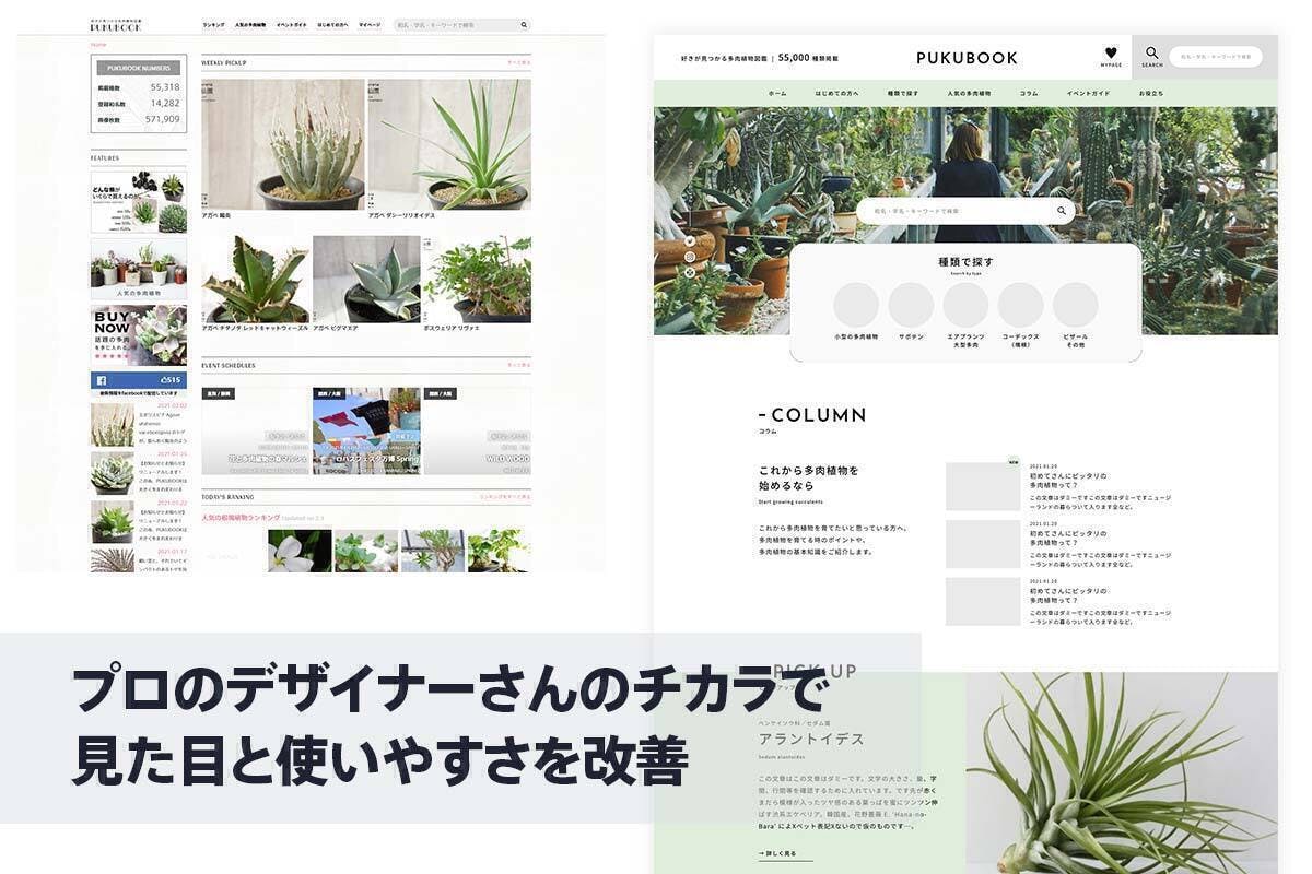 趣味で4年やってきた Web多肉植物図鑑 をプロの力でリニューアルしたい Campfire キャンプファイヤー 趣味で4年やってきた Web多肉植物図鑑 をプロの力でリニューアルしたい Campfire キャンプファイヤー