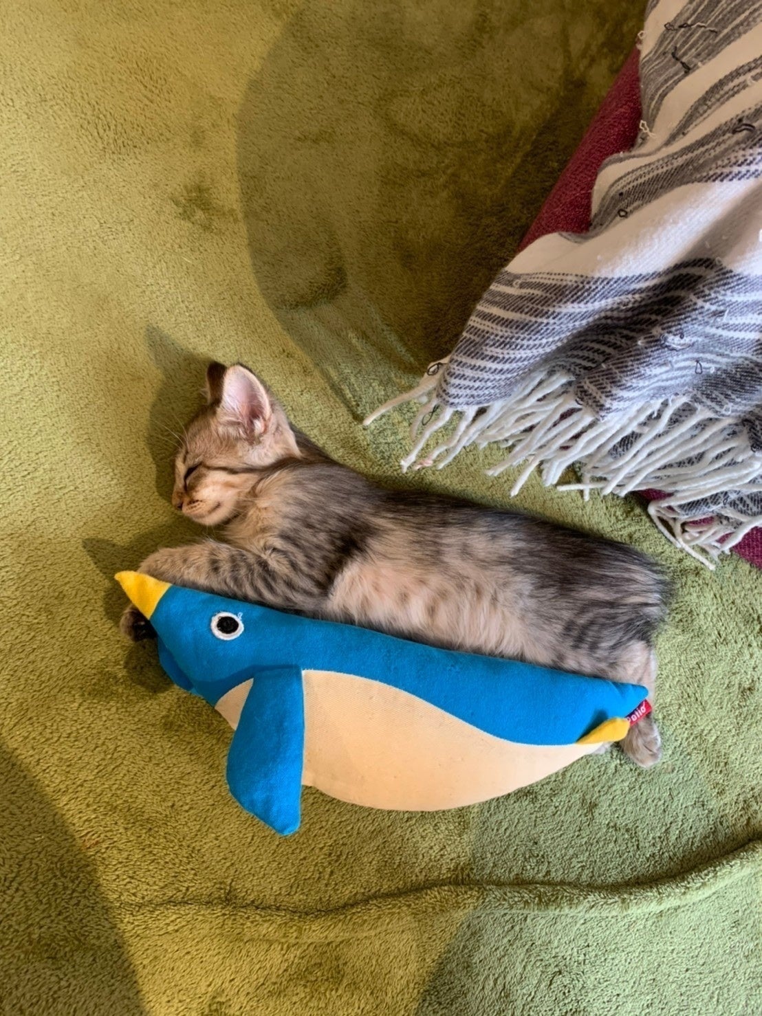 2番目のメイン画像