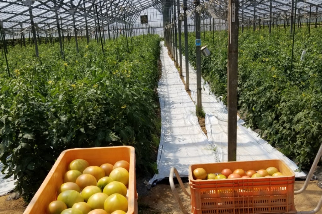 1番目のメイン画像