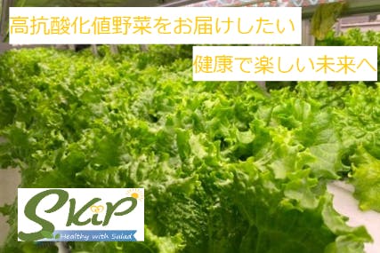 体に優しい高抗酸化値野菜を多くの食卓にお届けして 健康的な毎日を Campfire キャンプファイヤー