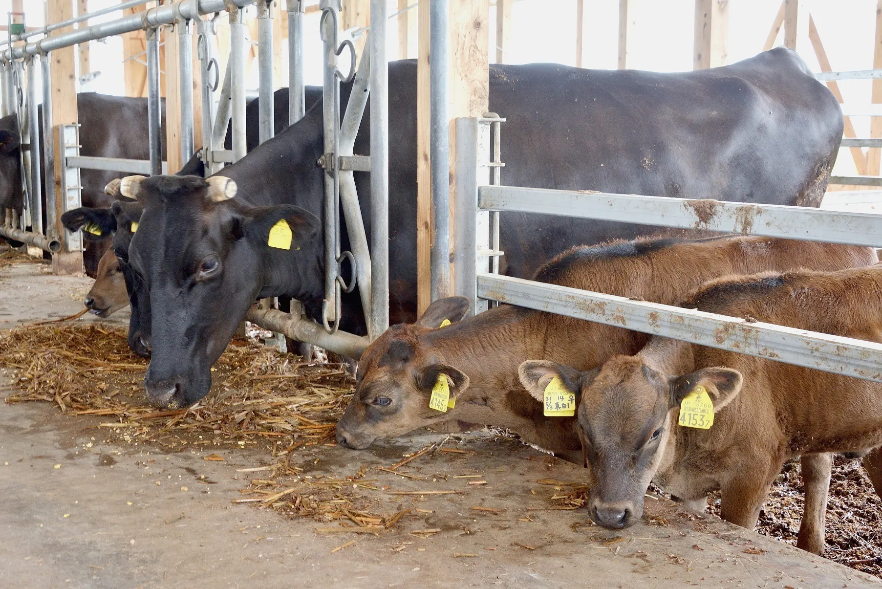 4番目のメイン画像