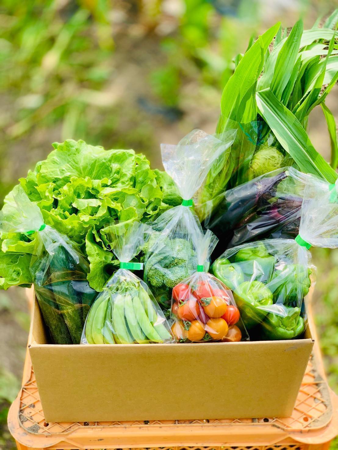 3番目のメイン画像