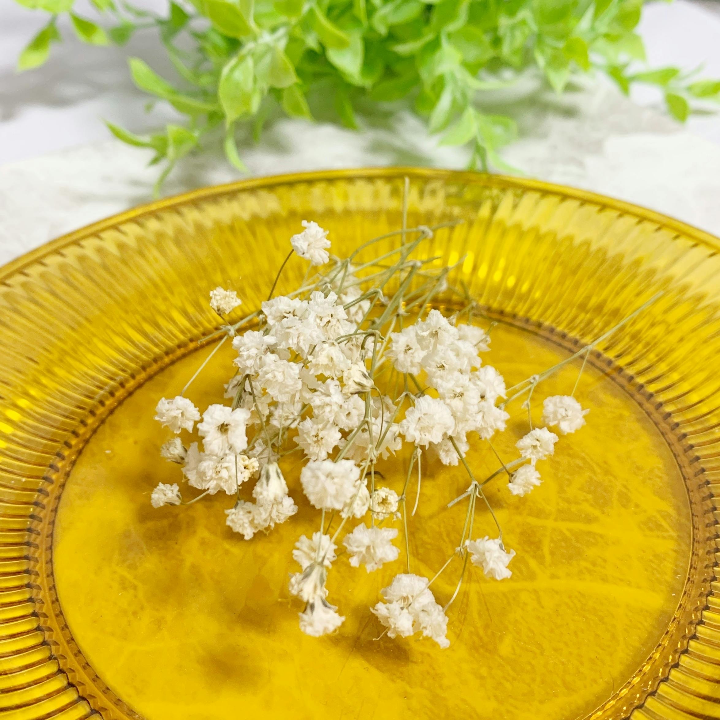 廃棄されてしまう花達に救いを そしてフラワーアクセサリーの魅力と癒しを伝えたい Campfire キャンプファイヤー 廃棄されてしまう花達に救いを そしてフラワーアクセサリーの魅力と癒しを伝えたい Campfire キャンプファイヤー