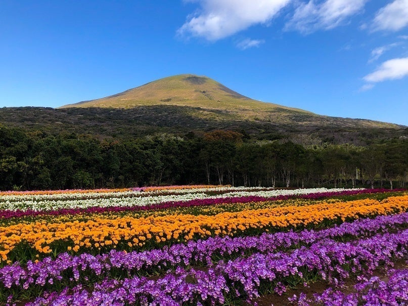 学校で作ったお花たて 廃棄される花で作った再生紙のスケッチブックを、特別支援学校の子供