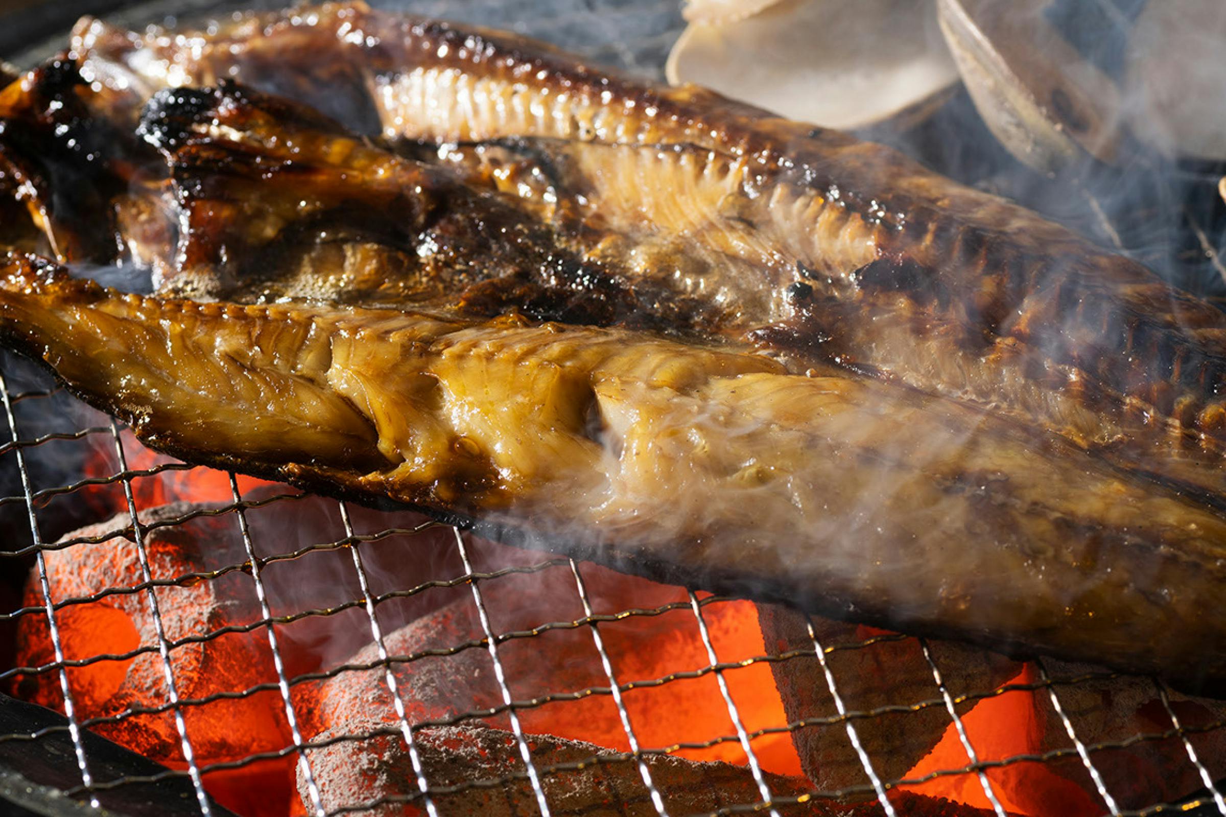 ソムリエが生み出す北海道食材を活かした炉端焼き屋の挑戦 アクティビティ Campfire キャンプファイヤー ソムリエが生み出す北海道食材を活かした炉端焼き屋の挑戦 アクティビティ Campfire キャンプファイヤー