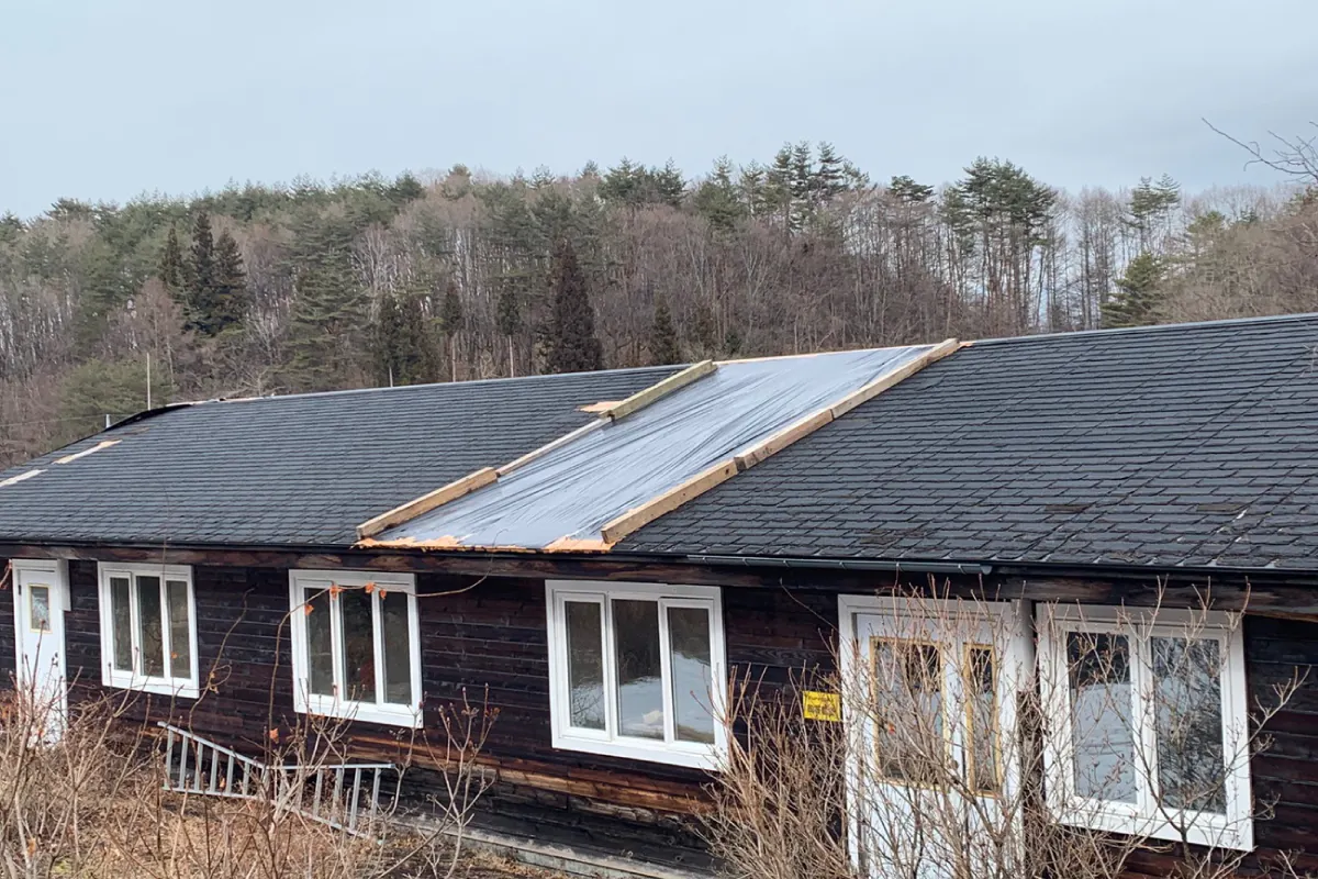 2番目のメイン画像