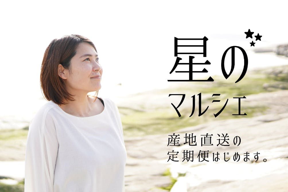 【定期便】熊本県・天草癒しの地「維和島(いわじま)」の“おいしい”を全国へ!