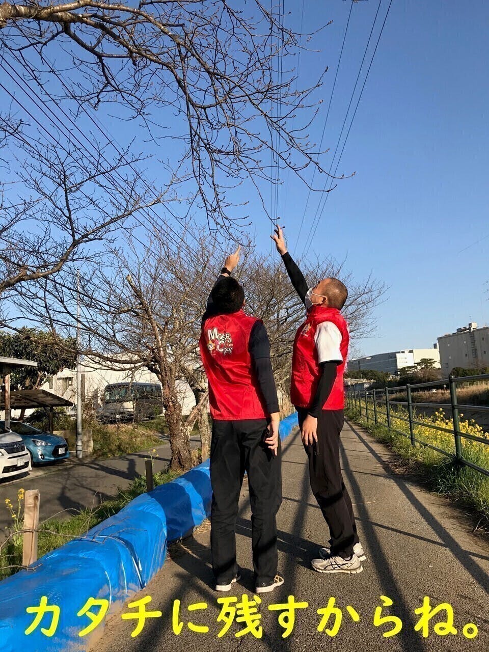 茂原市の歴史を彩ってきた約0本の桜を記録と記憶に残したい Campfire キャンプファイヤー 茂原市の歴史を彩ってきた約0本の桜を記録と記憶に残したい Campfire キャンプファイヤー