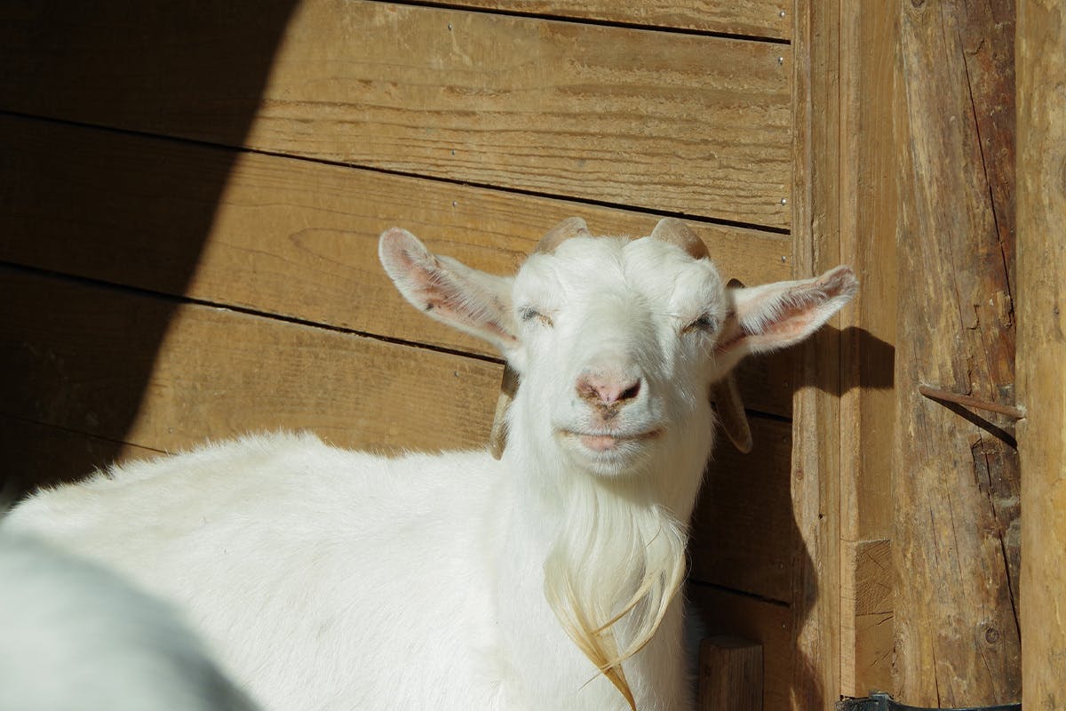 福島を歩き立ち止まり感じるままに撮ってきた写真を写真集として出版したい Campfire キャンプファイヤー 福島を歩き立ち止まり感じるままに撮ってきた写真を写真集として出版したい Campfire キャンプファイヤー