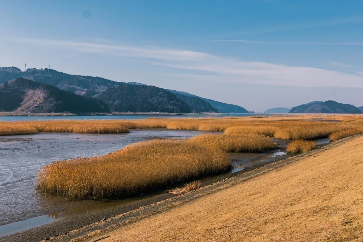 4番目のメイン画像