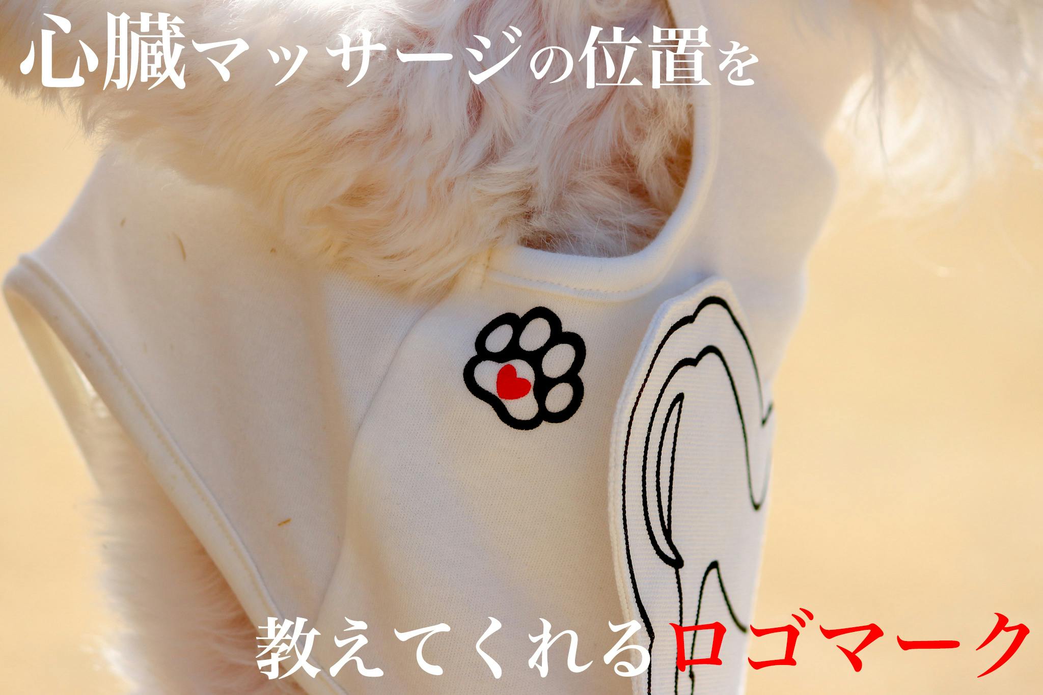 たった3分でペットを救うヒーローに 犬猫の心肺蘇生法を広めたい Campfire キャンプファイヤー たった3分でペットを救うヒーローに 犬猫の心肺蘇生法を広めたい Campfire キャンプファイヤー