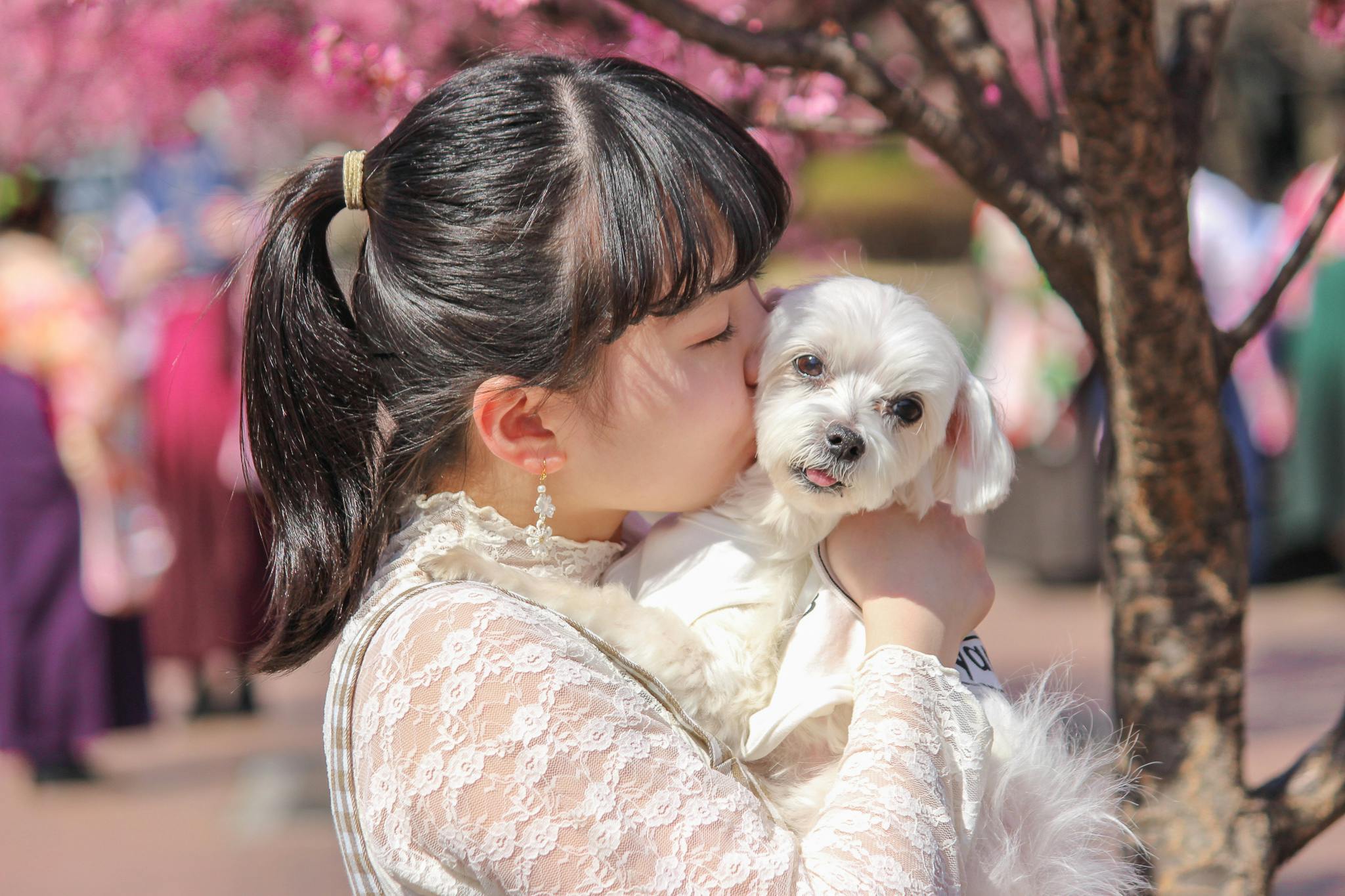 たった3分でペットを救うヒーローに 犬猫の心肺蘇生法を広めたい Campfire キャンプファイヤー たった3分でペットを救うヒーローに 犬猫の心肺蘇生法を広めたい Campfire キャンプファイヤー