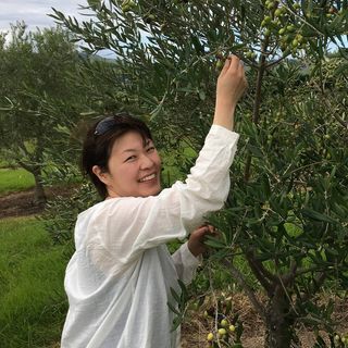 京都西陣発信！美味！ニュージーランド産エキストラバージンオリーブ