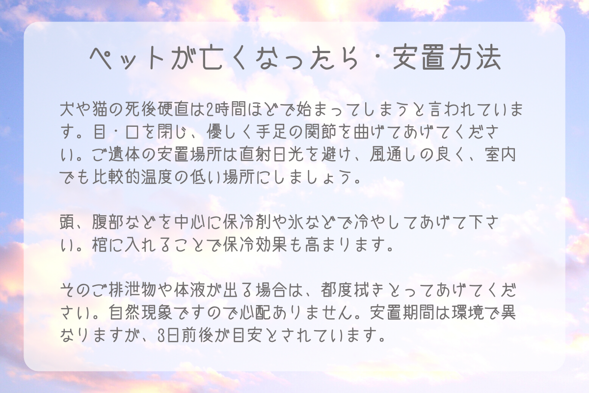 ペット専用棺「旅立ちの棺」拘りのデザインと思いを込めて。 大切な 