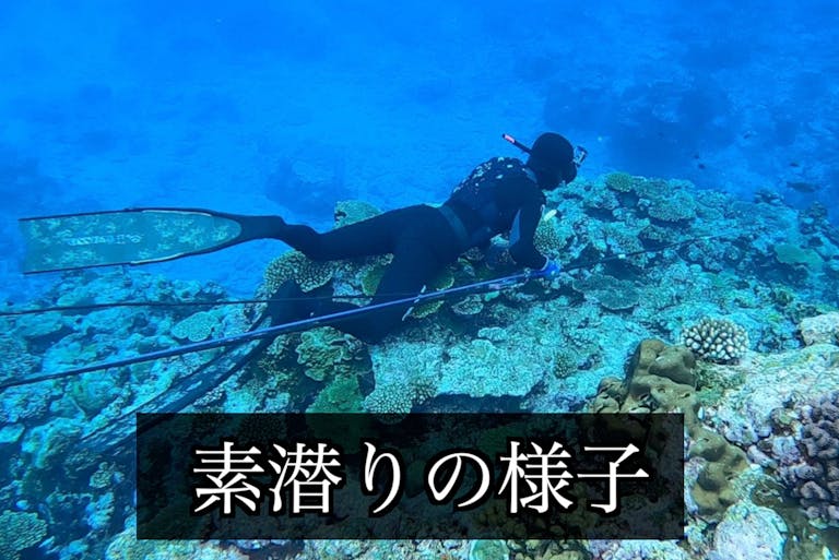 【素潜り漁師マサル】島の漁師たちが稼げるようにしたい!【素潜り漁師マサル】島の漁師たちが稼げるようにしたい!