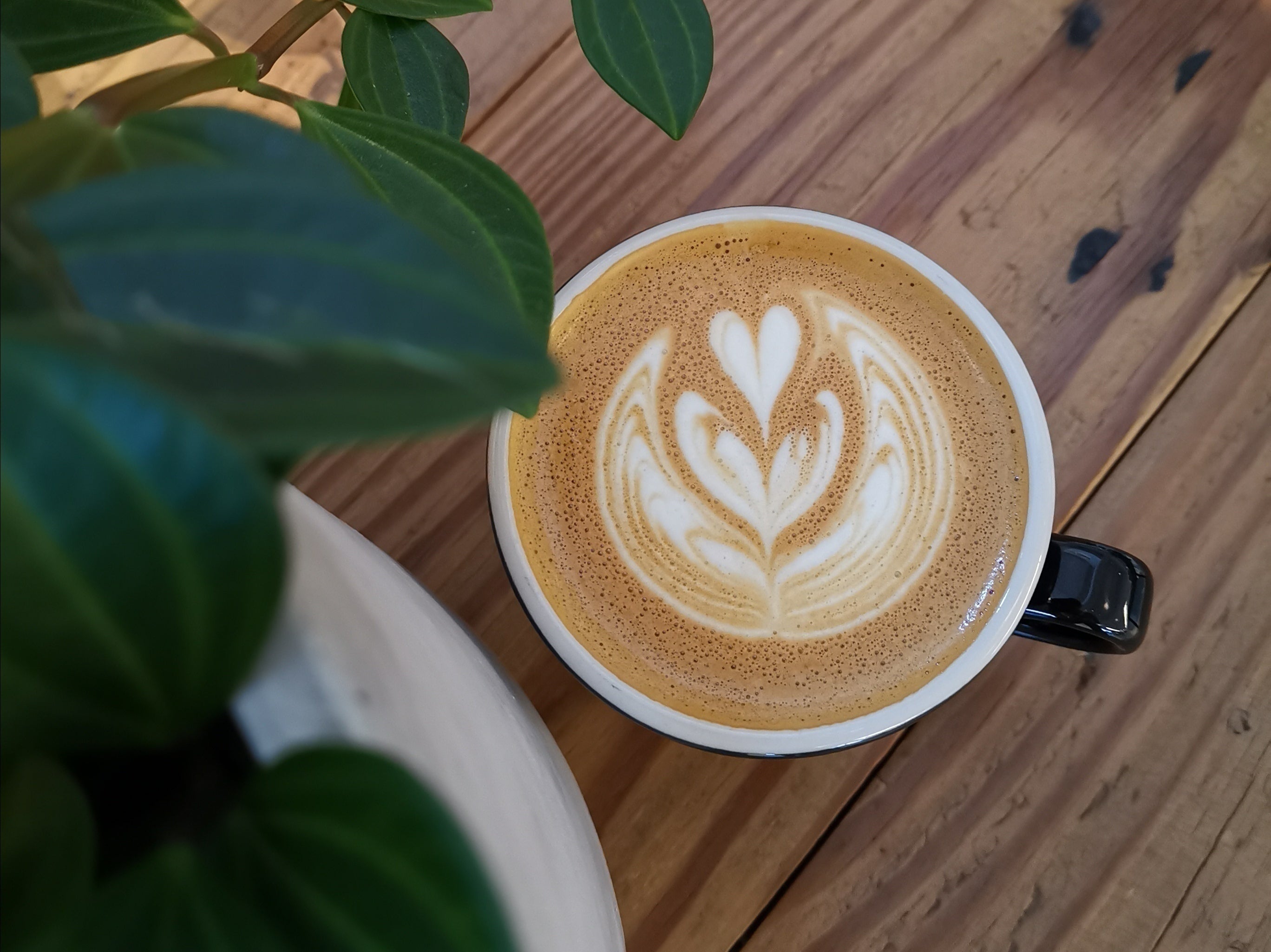 ウェルカムボード　カフェ風　流木インテリア　cafe　珈琲店 coffee×flower×hotel/studio 未来を創造する場所 - CAMPFIRE (キャンプ