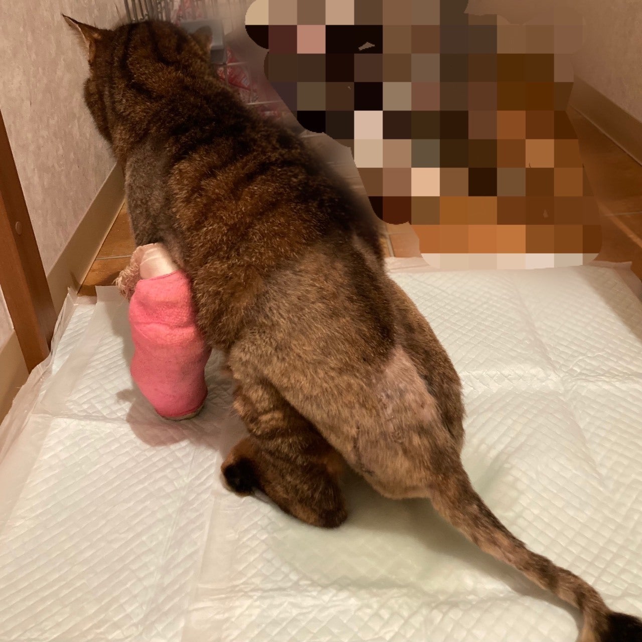 2番目のメイン画像