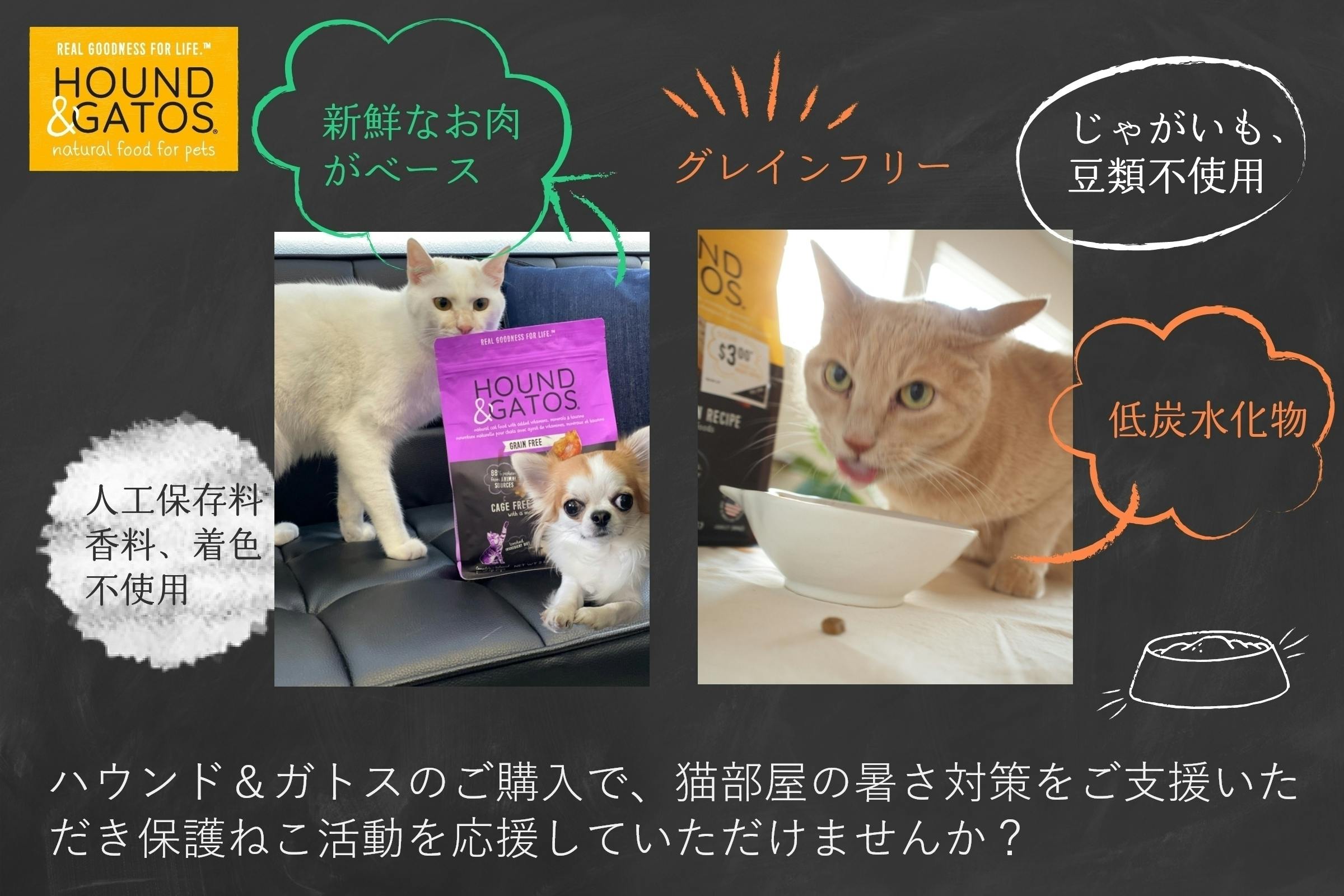 酷暑に備えて 保護ねこたちの部屋に暑さ対策をしたい Campfire キャンプファイヤー