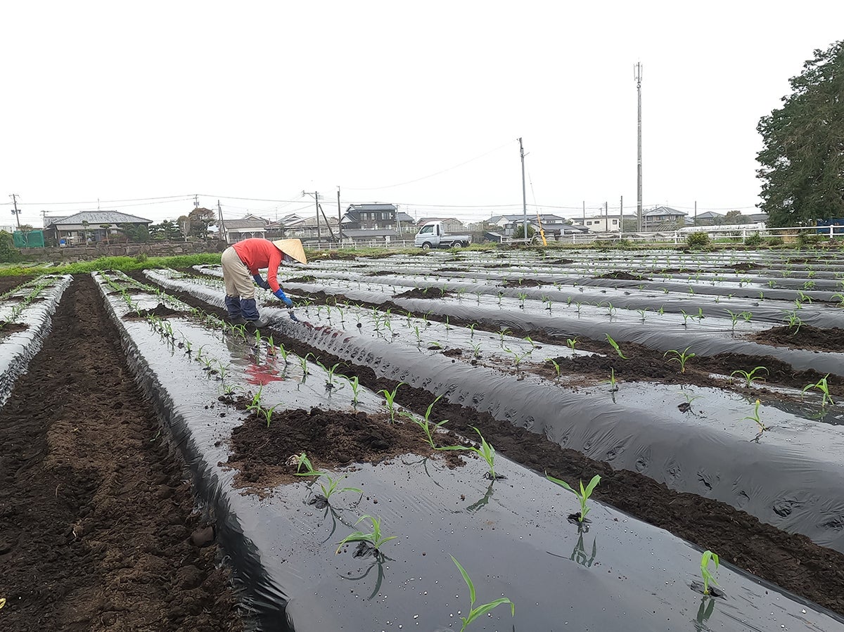 5番目のメイン画像