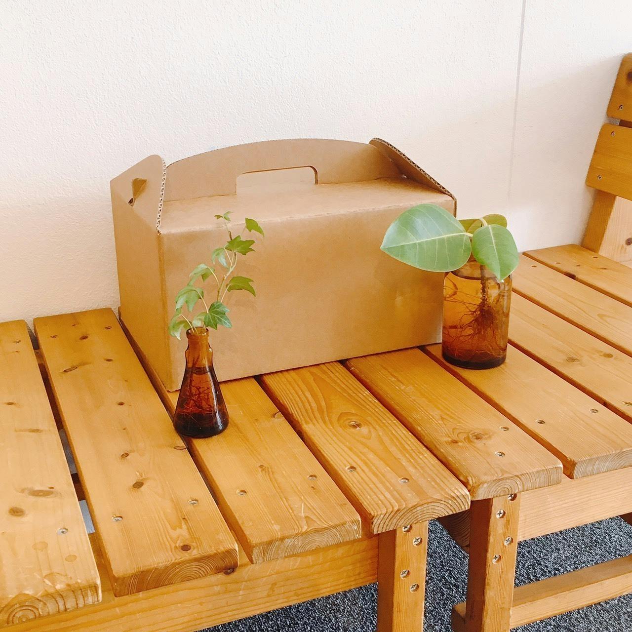 緑と土と暮らす優しい毎日を届けたい コーヒー1杯からできるコンポストキット Campfire キャンプファイヤー 緑と土と暮らす優しい毎日を届けたい コーヒー1杯からできるコンポストキット Campfire キャンプファイヤー
