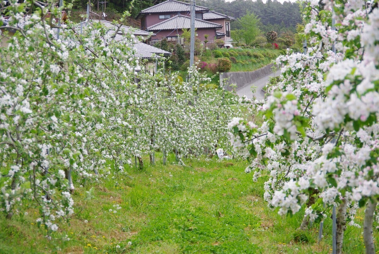 3番目のメイン画像