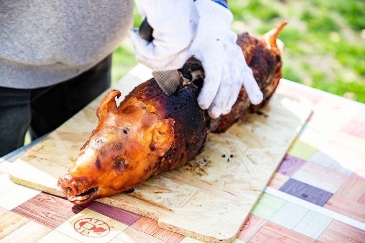 仔豚の丸焼き機』で、屋外バーベキューでしかできない丸焼き体験を味わってほしい！ - CAMPFIRE (キャンプファイヤー)