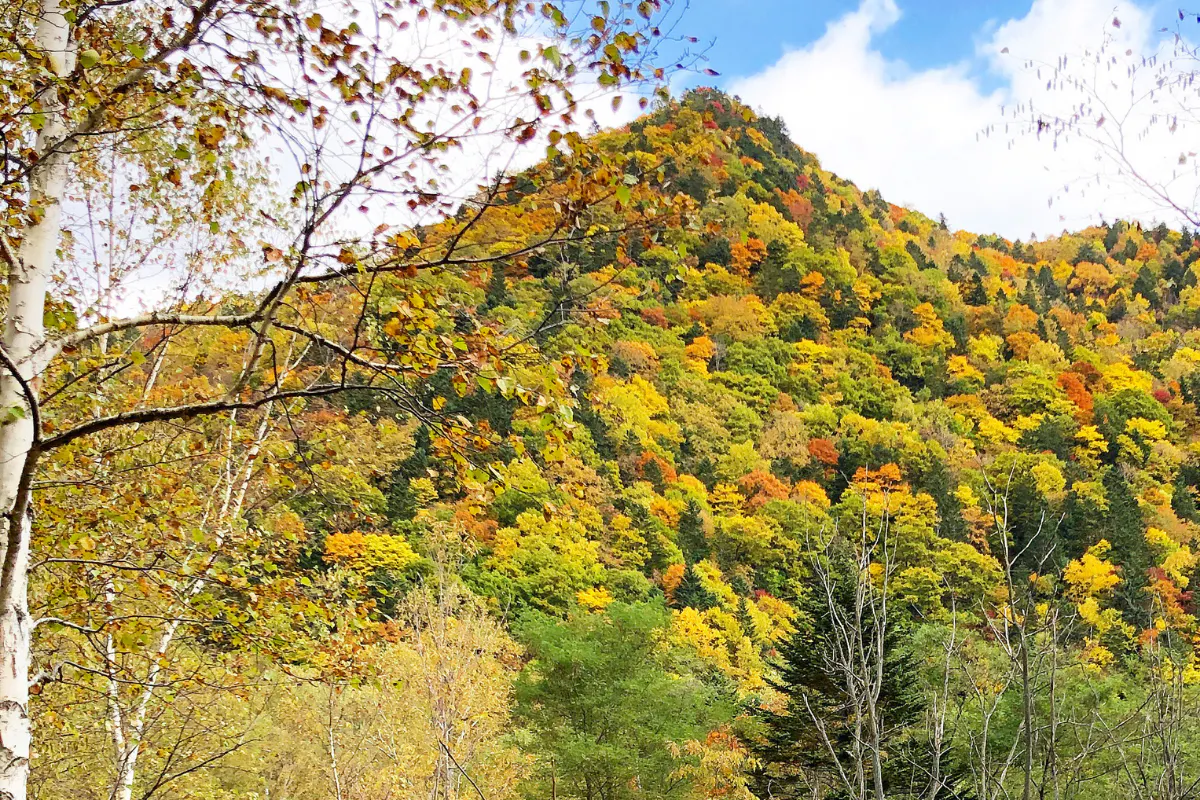 4番目のメイン画像