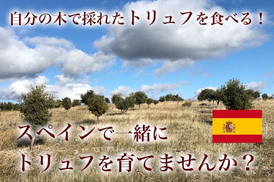 近江懐石 清元 / 清本健次（kenjikiyomoto）のプロフィール