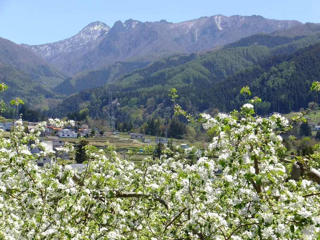 3番目のメイン画像